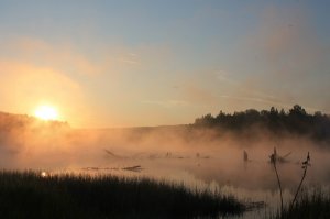 Туман стелился по болоту
Накрыв по неба и сарай
В болоте кто то ел кого то
Короче тихий мирный край.