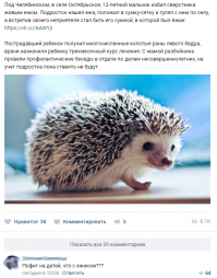 Все печально... Убил этот гад ежика отверткой.