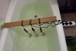 Крабов варить собрались?