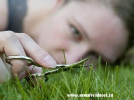 Магазинный юмор: мерчендайзеры с фантазией