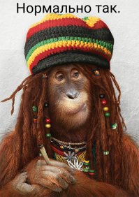 Эта «Радужная деревня» в Индонезии просто мечта инстаграмера