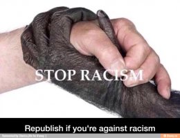 Плохо знаешь)