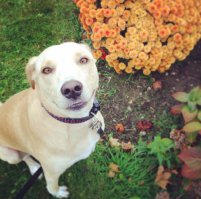 Глаза какие глубокие!