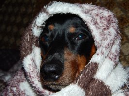 идет месяц МАЙ.