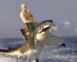 картинки кликабельны