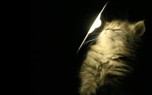 Если делаешь добро от чистого сердца, оно обязательно возвращается