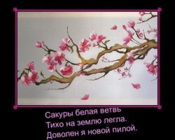 Монстры рока и цветущие сакуры