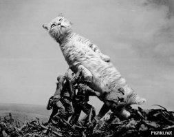 Чем увлечь юношу в деревне у бабушки? Разумеется, девушкой!