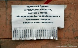 Объявления для удивления