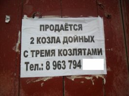 Объявления для удивления