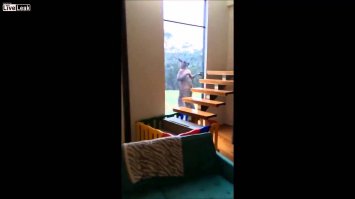 Австралия...