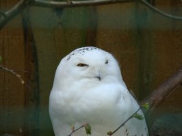 Пара моих фоток :)