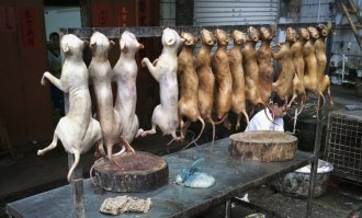 Кулинарные картинки со всего мира