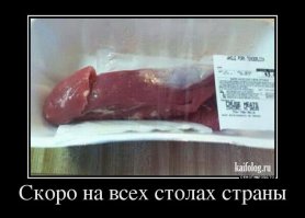 Смешные объявления и надписи (20 фото)