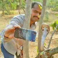 Кобра попросила сфотать