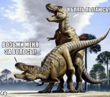 Подборка картинок с подписями