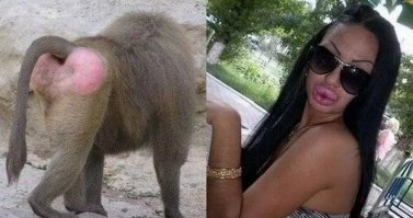 Девушка из Венгрии показала свое животное начало