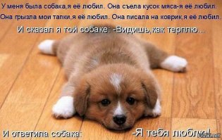 Забавные мысли, которые наверняка посещали каждую собаку