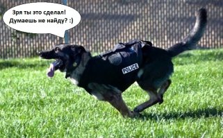 Что делать, если к вам внезапно нагрянула полиция