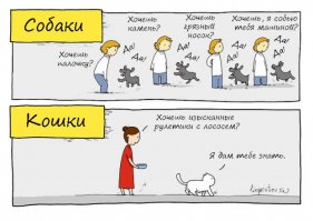 Щенок не может сдержать радости, узнав, куда его везут