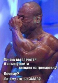 Подборка картинок с подписями