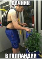 Приколы в общественном транспорте
