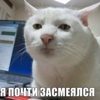 Чувствует ли собака страх человека?