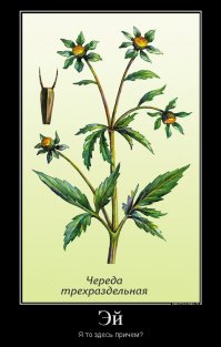 Работа в супермаркете - это просто мечта!