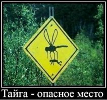 Что запрещено в России?