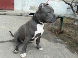 это мой мальчик