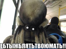 Приколы в общественном транспорте