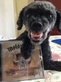 А вот и любимый диск!