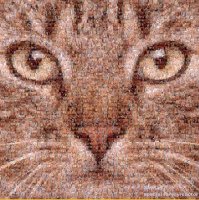 Парень потратил 10 лет, чтобы с помощью MS Paint создать иллюстрации для своей книги