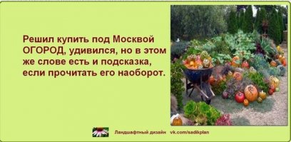 Дачный юмор: когда начинается дачный сезон - в памяти всплывает всё