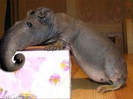 ты мне ссылку дал только на твой портрет. 
а про резьбу ничего не скидывал.