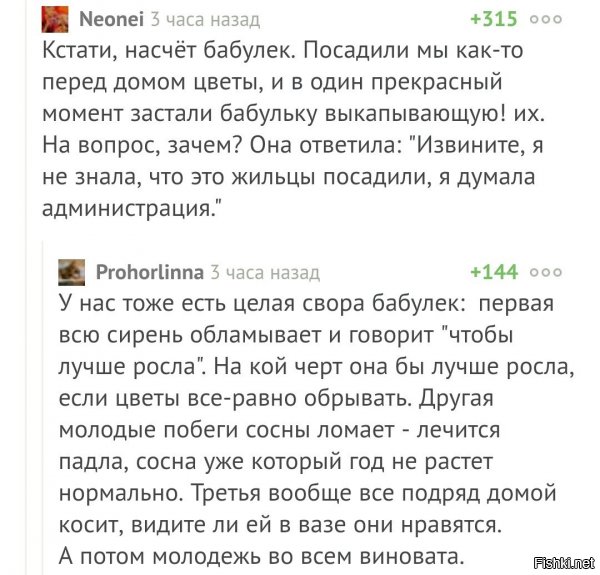 Ну наркоманки , что возьмёшь. Обколются этой марихуаной и ломають деревья.