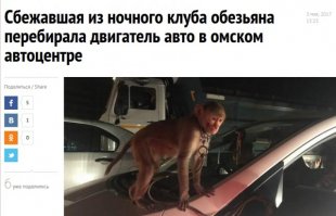 Подборка автомобильных приколов