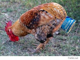 Автор теста :)