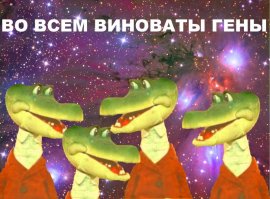 Азиатки вообще дольше не "обвисают" как европейки.