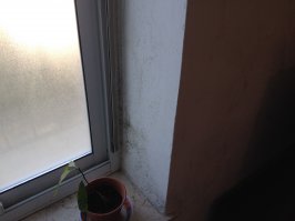 Столица Израиля 640 плюс налог на недвижимость 50 плюс свет вода, отопления нет.Зимой на улице иногда плюс три а в квартире минус три)) добро пожаловать бл...