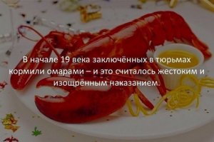 Какое жилье можно снять в Европе за 50 тысяч рублей в месяц и меньше