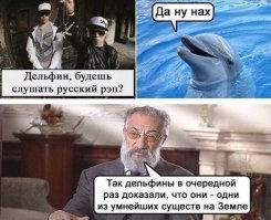 «Самые умные животные в мире» - номинанты на звание