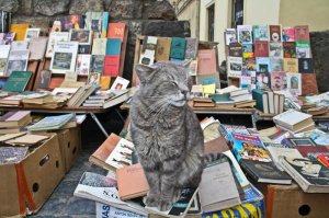 На книжной барахолке можно почти любую книгу купить за "сущие копейки".