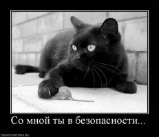 Дружба среди животных есть!