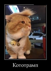 Очередная подборка картинок из соц. сетей