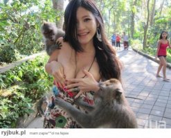 Животные против женщин