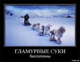Хорошо в деревне летом!