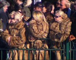 Матрица сбоит всё чаще!..