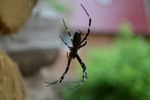 На базы отдыха сфоткал