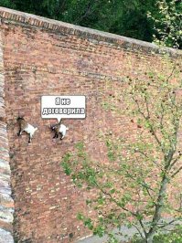 Подборка картинок с подписями